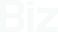 Biz - IT Company